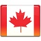 CAD flag